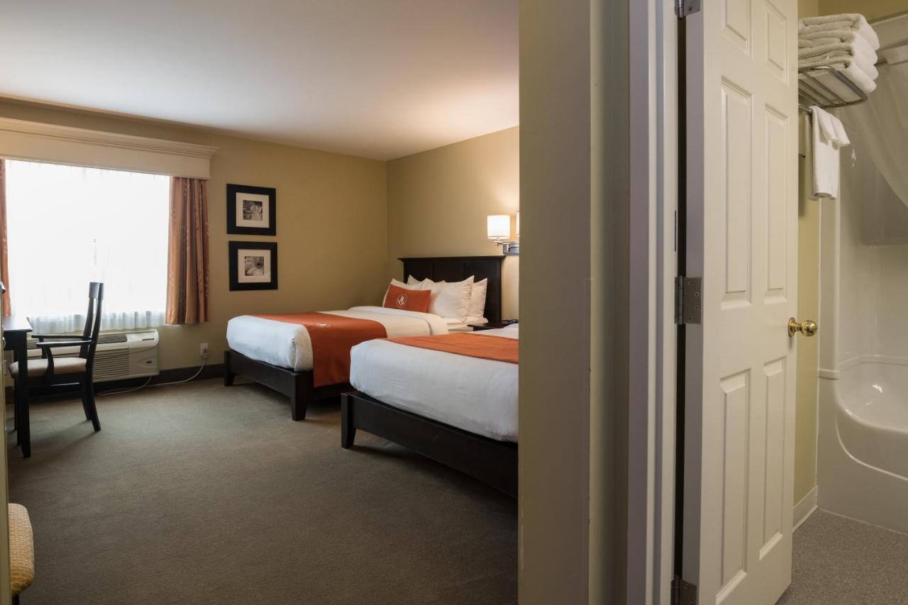 Amsterdam Inn & Suites Съсекс Екстериор снимка