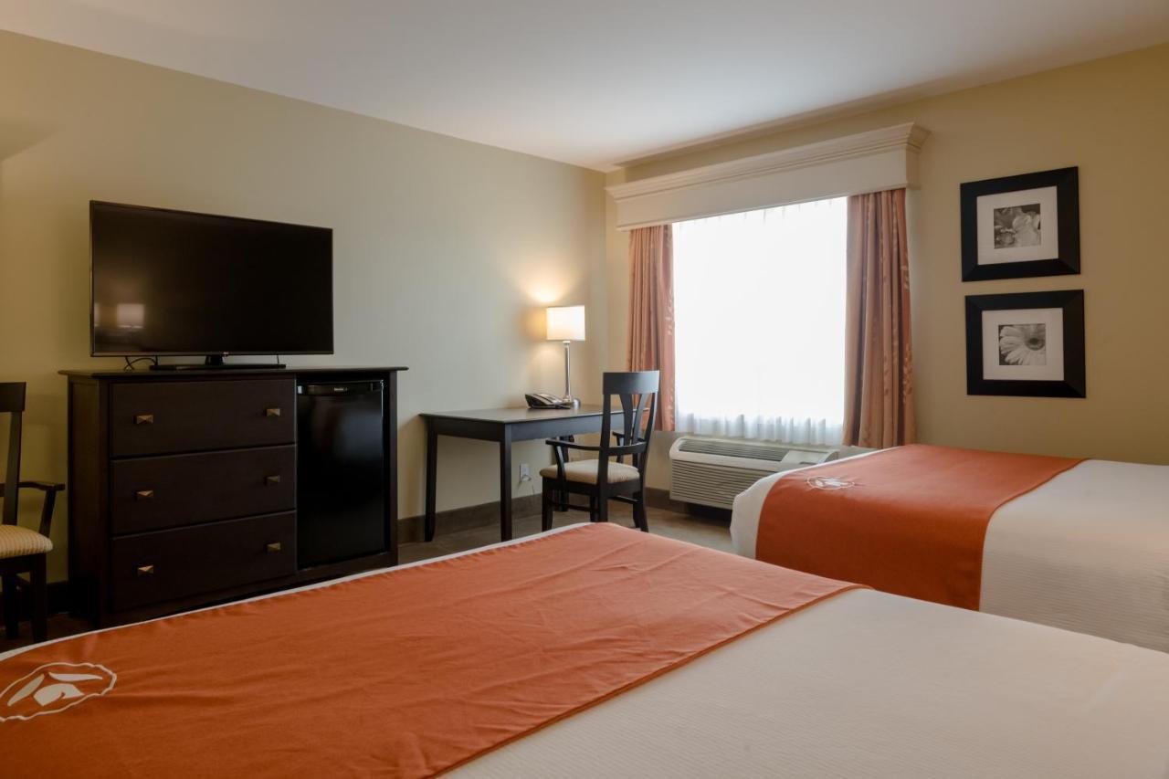 Amsterdam Inn & Suites Съсекс Екстериор снимка