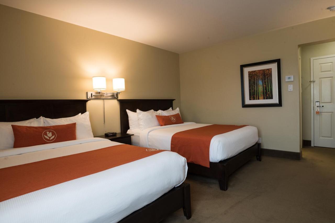 Amsterdam Inn & Suites Съсекс Екстериор снимка