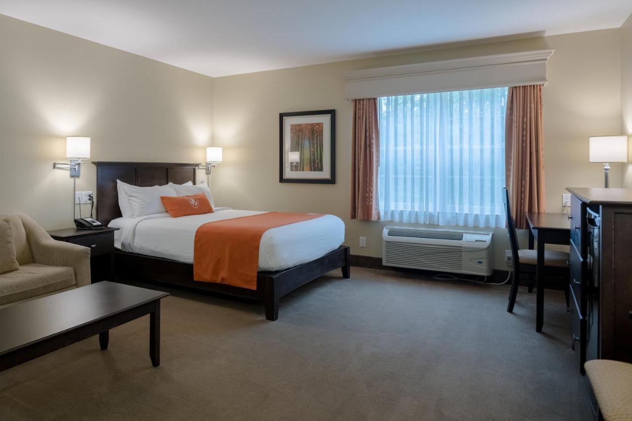 Amsterdam Inn & Suites Съсекс Екстериор снимка