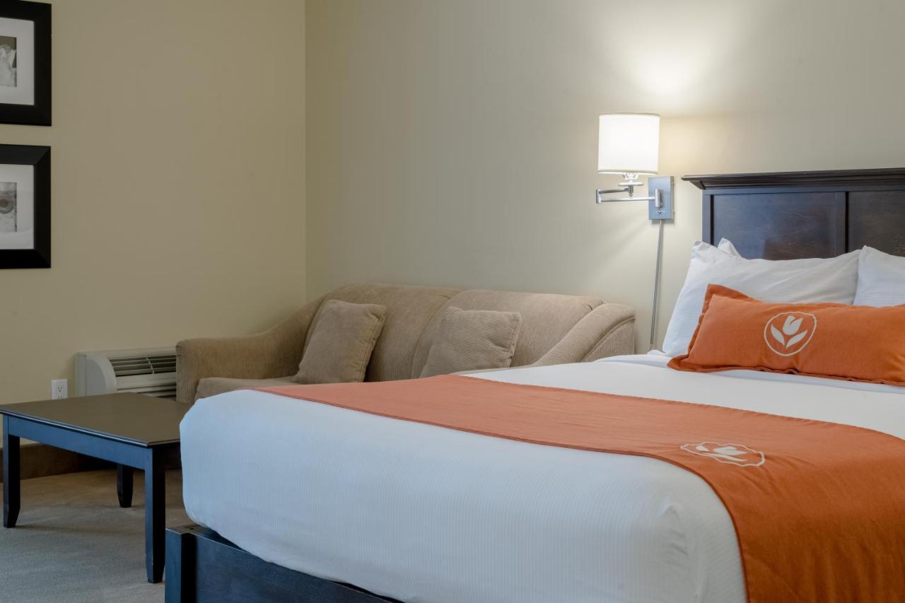 Amsterdam Inn & Suites Съсекс Екстериор снимка