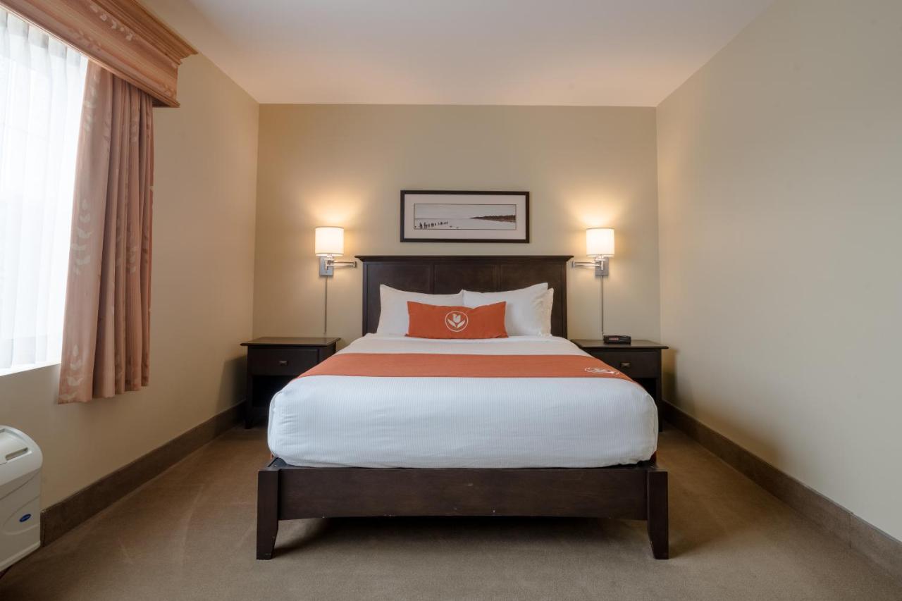 Amsterdam Inn & Suites Съсекс Екстериор снимка