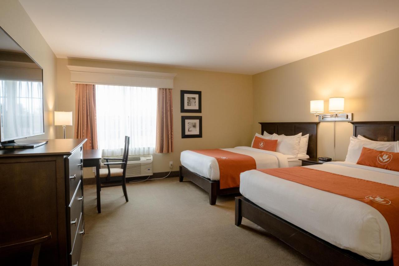 Amsterdam Inn & Suites Съсекс Екстериор снимка