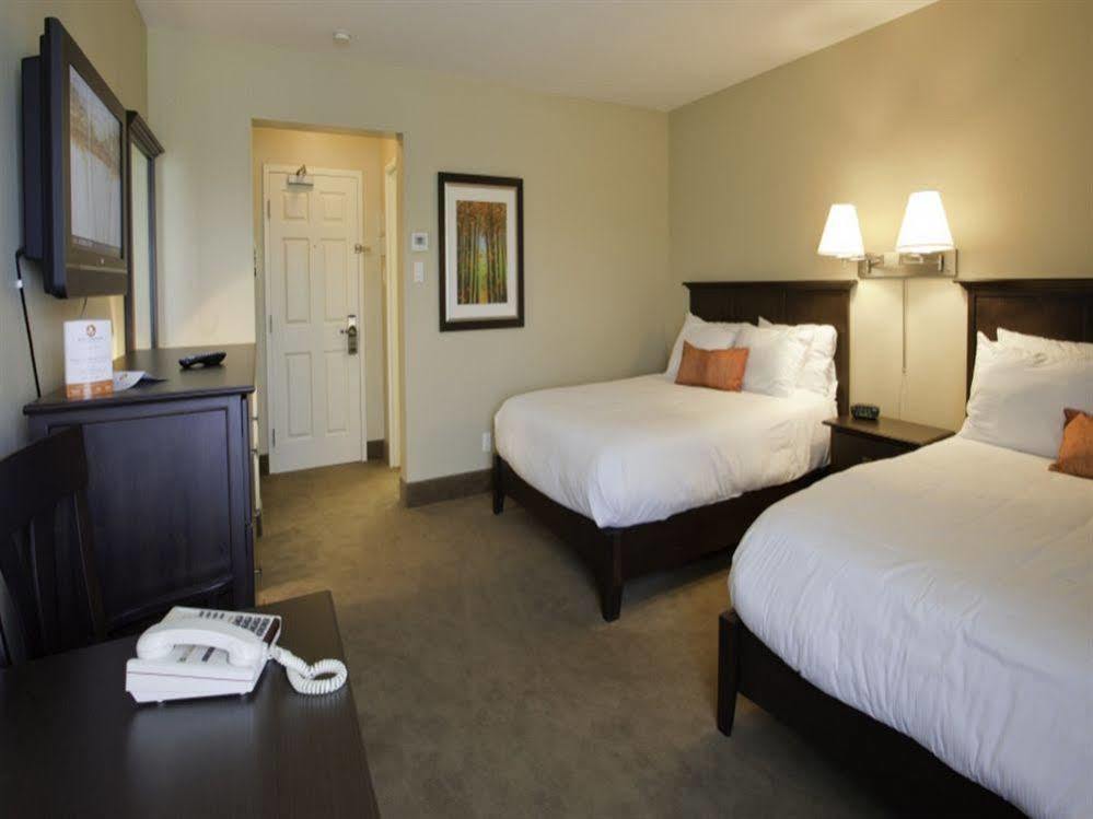 Amsterdam Inn & Suites Съсекс Екстериор снимка