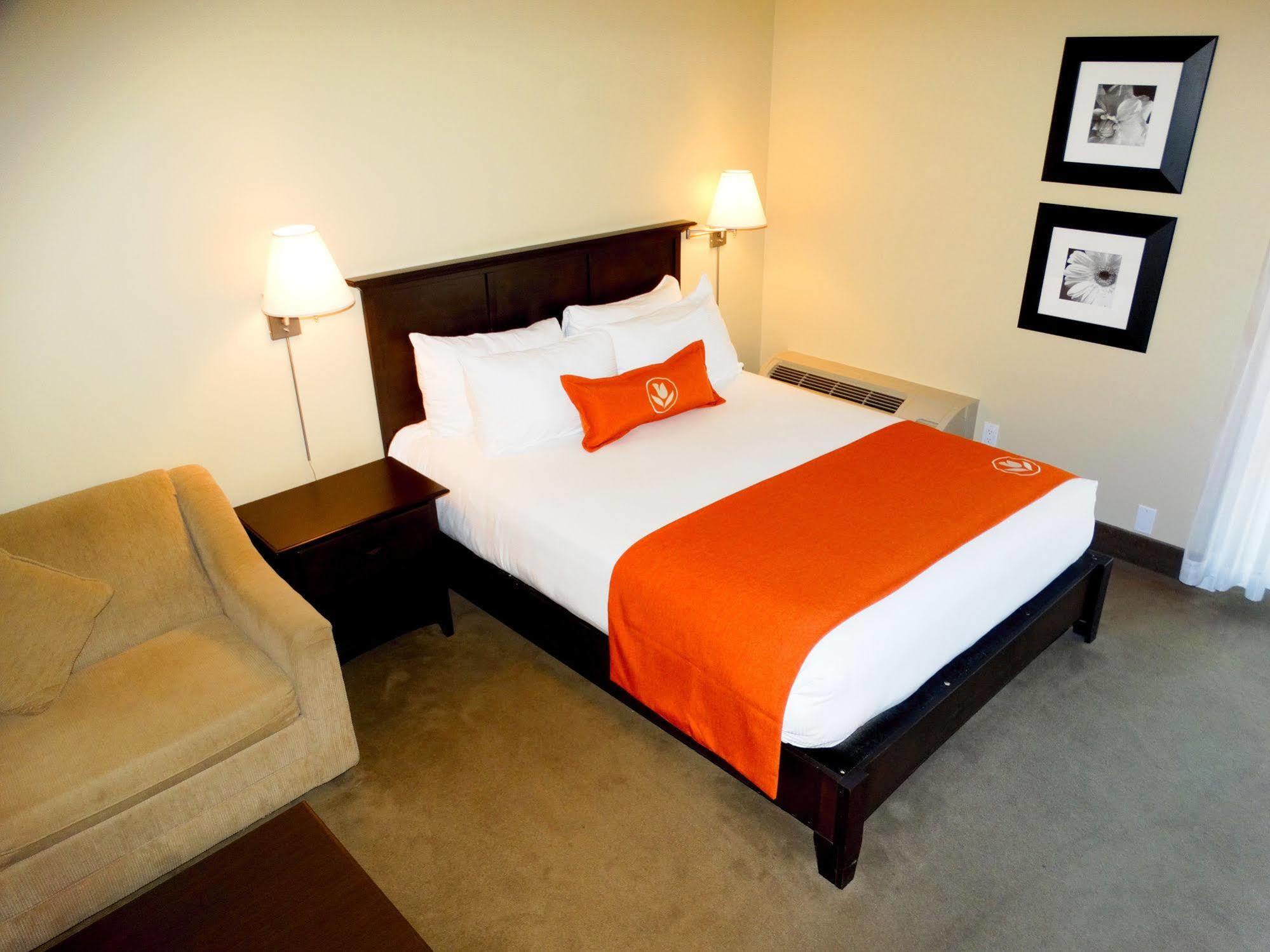 Amsterdam Inn & Suites Съсекс Екстериор снимка