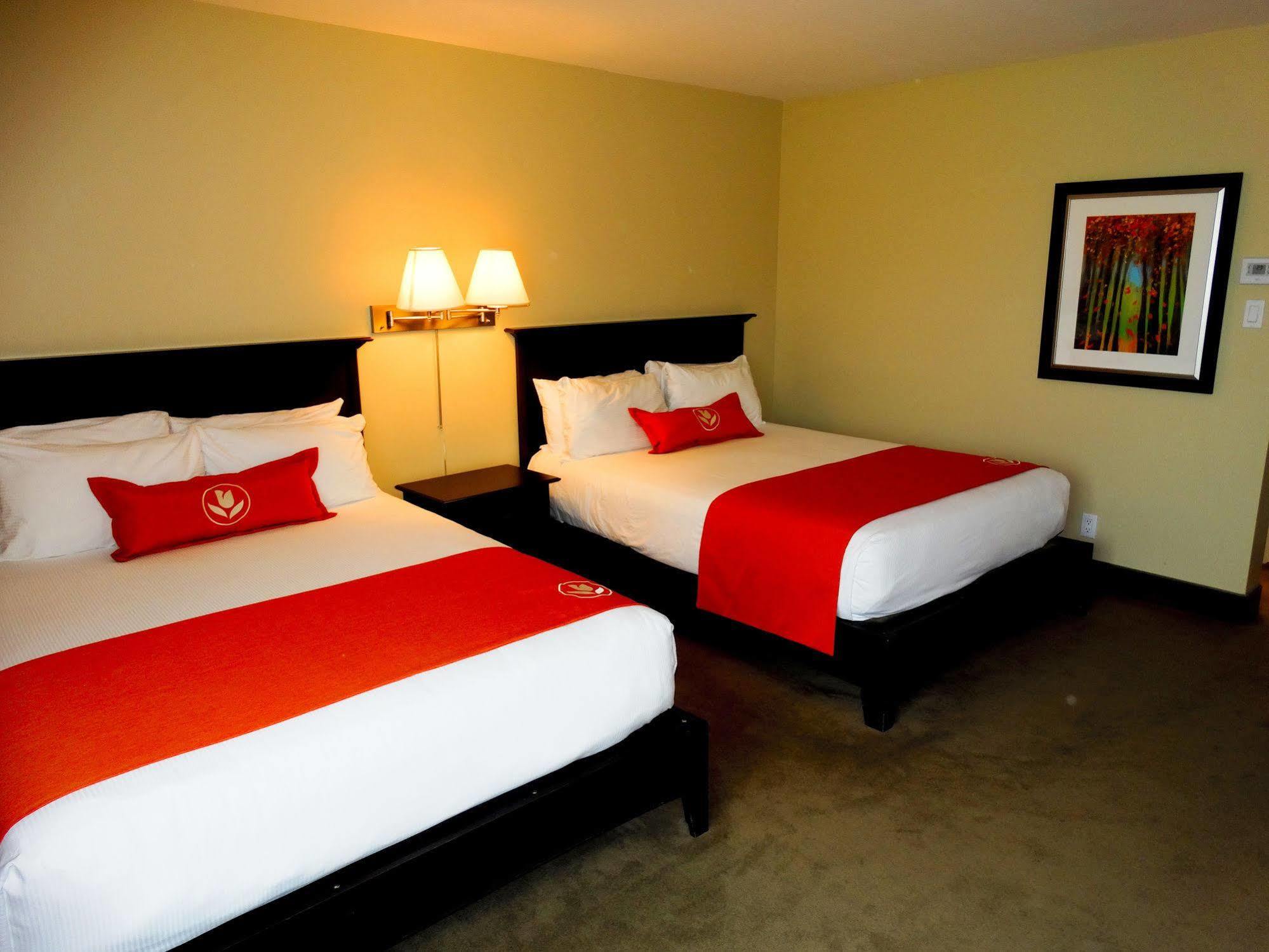 Amsterdam Inn & Suites Съсекс Екстериор снимка