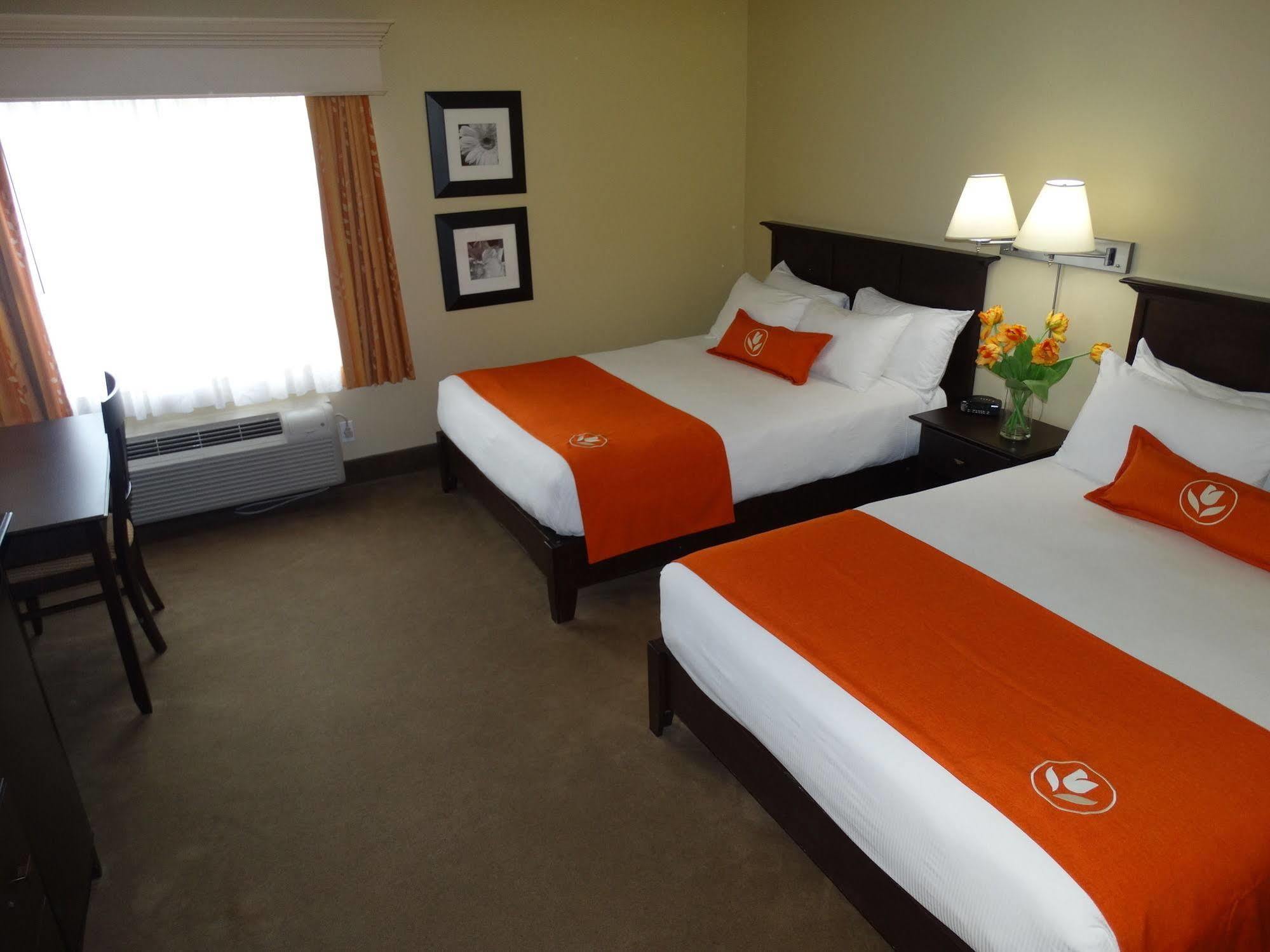 Amsterdam Inn & Suites Съсекс Екстериор снимка