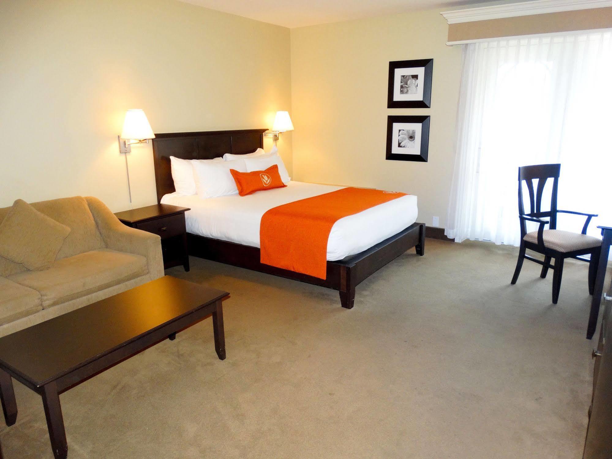 Amsterdam Inn & Suites Съсекс Екстериор снимка